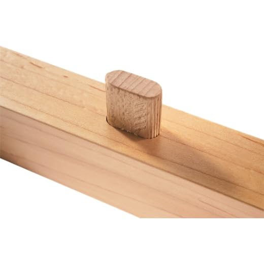 festool-tacos-domino-de-haya-d-5x30-300-bu image 6